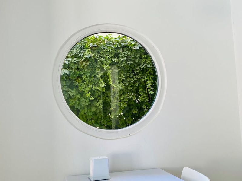 Spacious, clean area for home workouts with natural light.